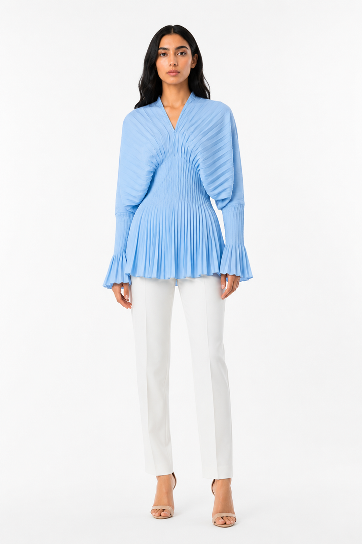 Pleated Waist V-Neck Long Sleeve Blouse – AZUREA