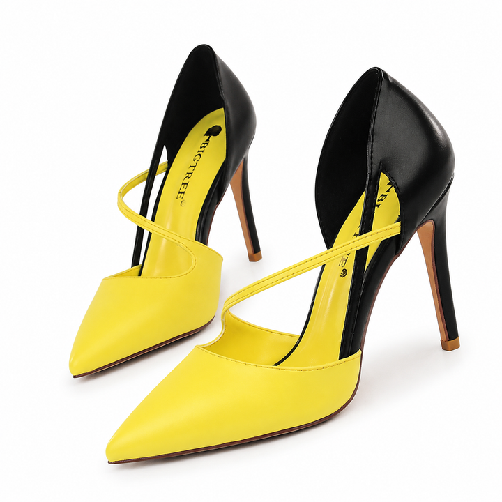 Color Block Pointed Toe Stiletto Heels – VIVÉLLE