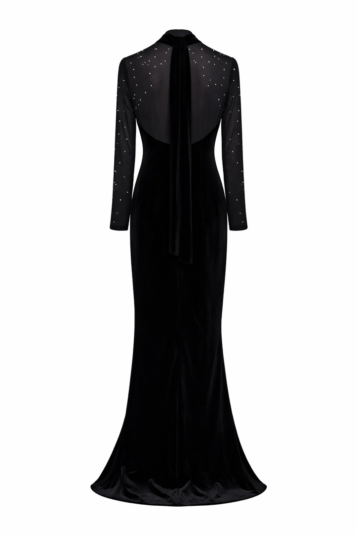long sleeve sheer yoke maxi dress with crystal front detail – NOIR