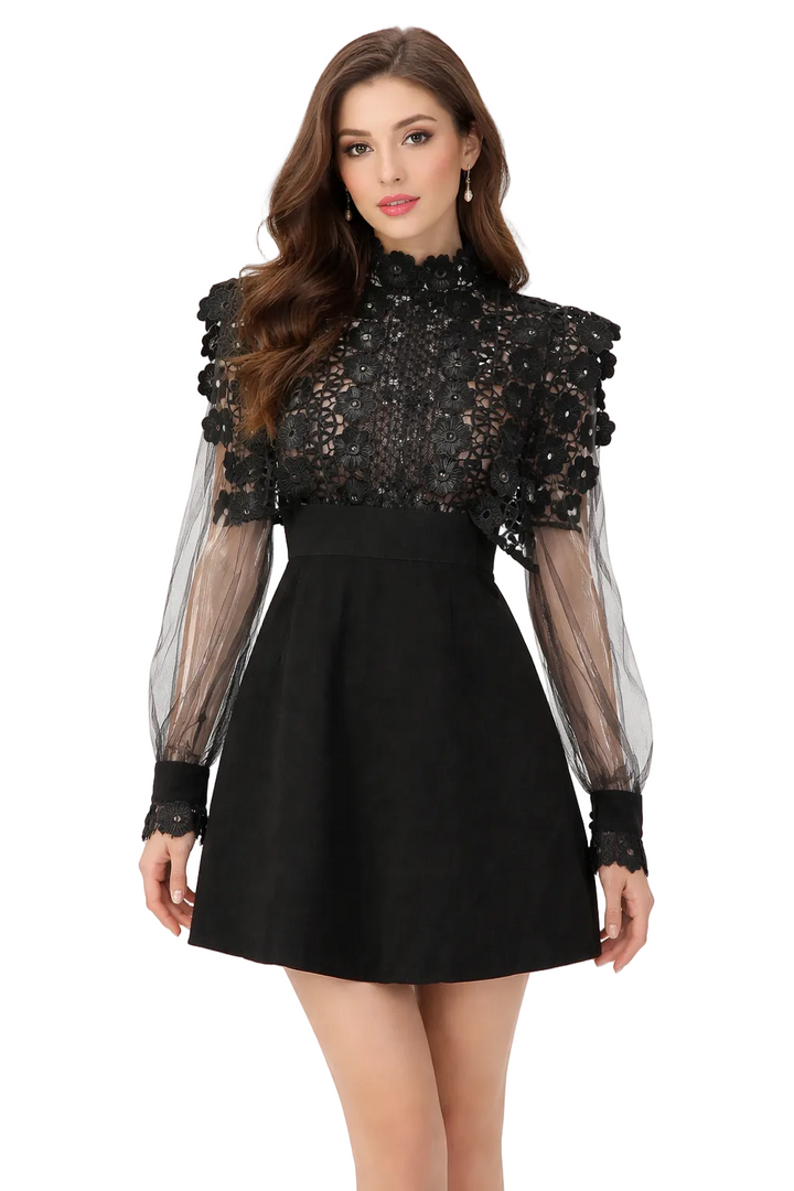 lace high-neck mini dress with sheer sleeves – BLOOM