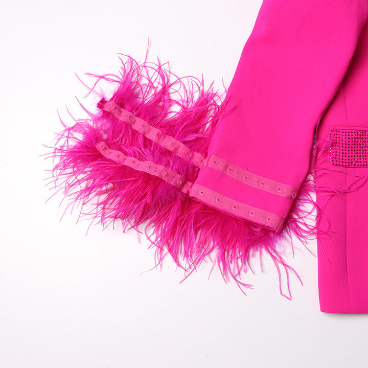 feather-cuff blazer with crystal lapels - Farwswe